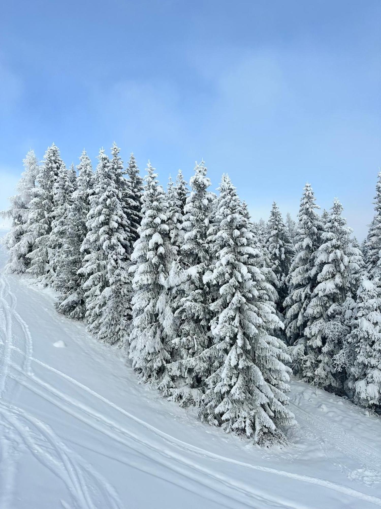 Apartments Kabashi 2 Fischhorn Екстериор снимка